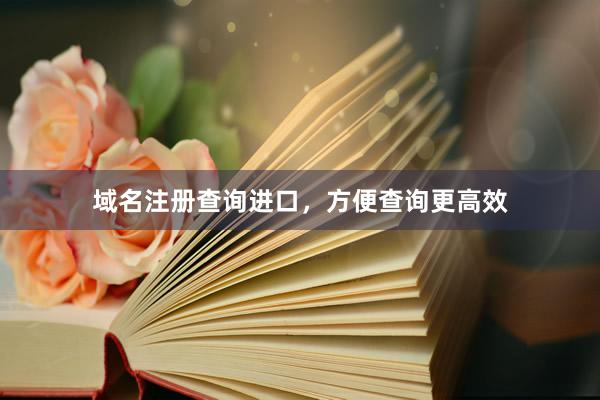 域名注册查询进口，方便查询更高效