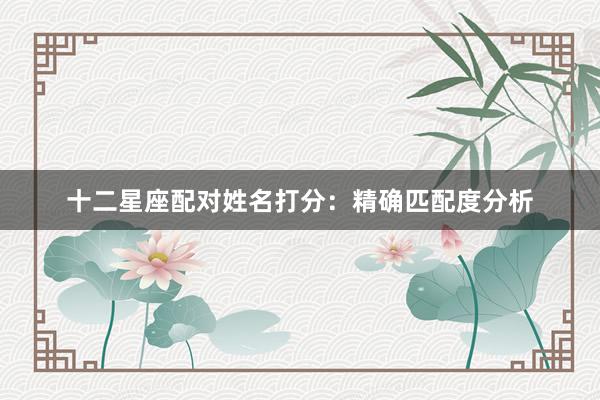 十二星座配对姓名打分：精确匹配度分析
