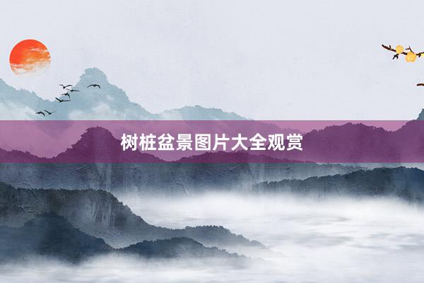 树桩盆景图片大全观赏