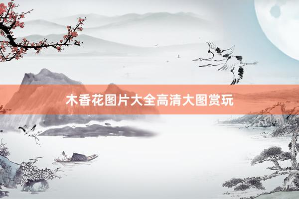 木香花图片大全高清大图赏玩
